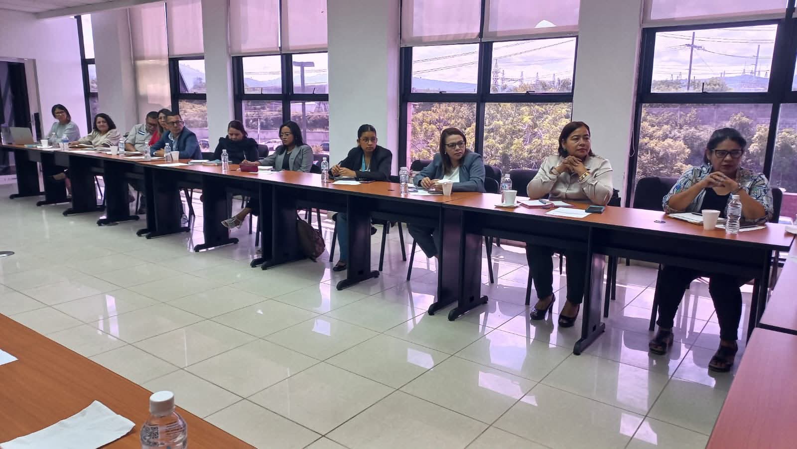 Poder Judicial conoce avances de la Mesa Técnica de Garantía de Derechos de Niñas, Niños y Adolescentes